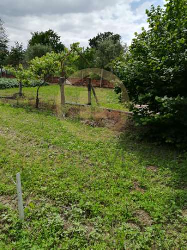 Moradia para Restaurar T3 Venda em Viseu,Viseu