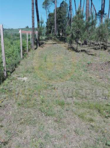 Terreno Para Construção  Venda em Santar e Moreira,Nelas