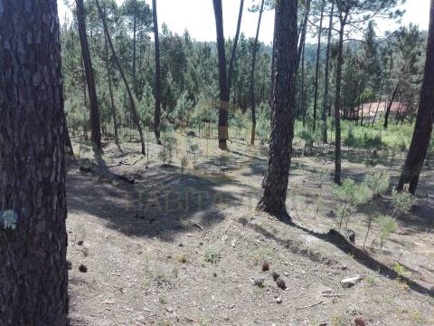 Terreno Para Construção  Venda em Santar e Moreira,Nelas