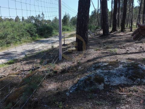 Terreno Para Construção  Venda em Santar e Moreira,Nelas