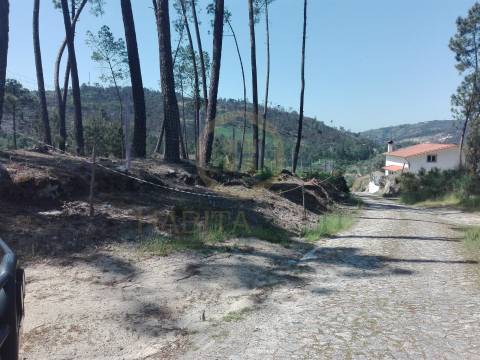 Terreno Para Construção  Venda em Santar e Moreira,Nelas