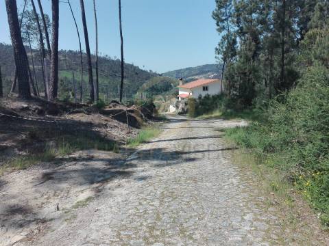Terreno Para Construção  Venda em Santar e Moreira,Nelas