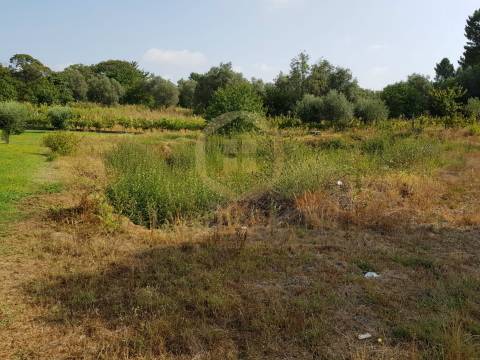 Terreno Para Construção  Venda em Ranhados,Viseu