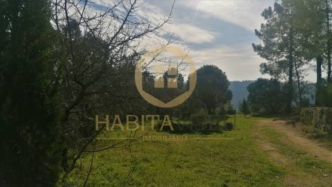 Quinta  Venda em São João de Lourosa,Viseu