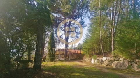 Quinta  Venda em São João de Lourosa,Viseu