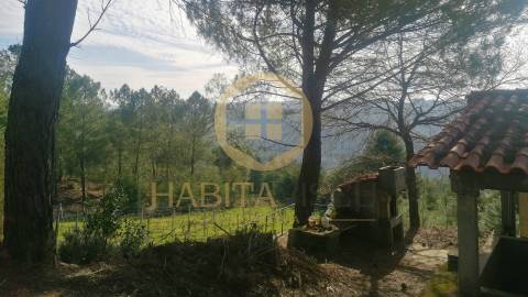 Quinta  Venda em São João de Lourosa,Viseu