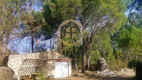 Quinta  Venda em São João de Lourosa,Viseu