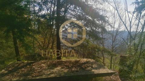 Quinta  Venda em São João de Lourosa,Viseu