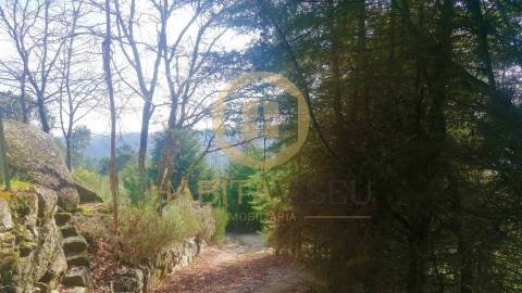 Quinta  Venda em São João de Lourosa,Viseu