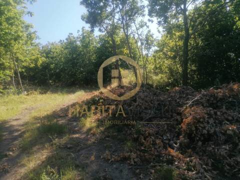 Terreno Rústico  Venda em Fragosela,Viseu
