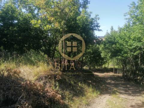 Terreno Rústico  Venda em Fragosela,Viseu