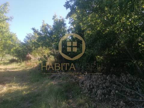 Terreno Rústico  Venda em Fragosela,Viseu