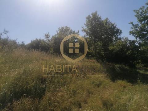 Terreno Rústico  Venda em Fragosela,Viseu