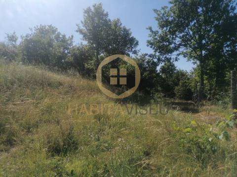 Terreno Rústico  Venda em Fragosela,Viseu