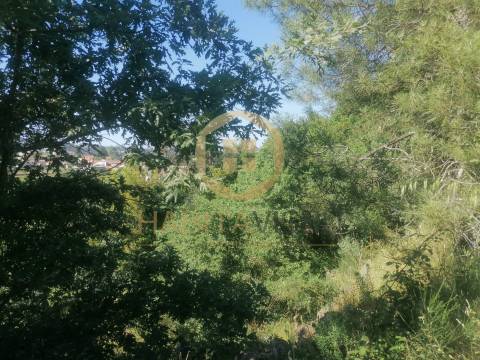 Terreno Rústico  Venda em Fragosela,Viseu