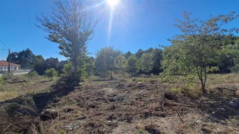 Terreno Para Construção  Venda em Vila Nova de Paiva, Alhais e Fráguas,Vila Nova de Paiva
