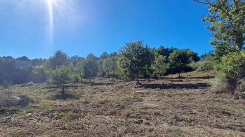 Terreno Para Construção  Venda em Vila Nova de Paiva, Alhais e Fráguas,Vila Nova de Paiva