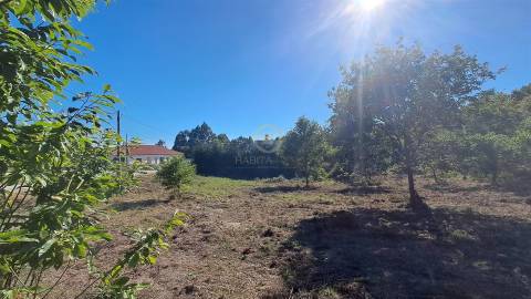 Terreno Para Construção  Venda em Vila Nova de Paiva, Alhais e Fráguas,Vila Nova de Paiva