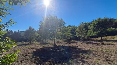Terreno Para Construção  Venda em Vila Nova de Paiva, Alhais e Fráguas,Vila Nova de Paiva