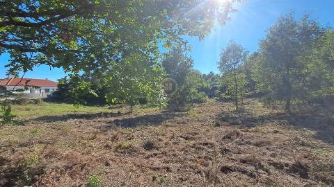Terreno Para Construção  Venda em Vila Nova de Paiva, Alhais e Fráguas,Vila Nova de Paiva