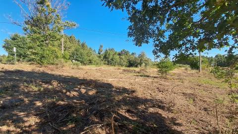 Terreno Para Construção  Venda em Vila Nova de Paiva, Alhais e Fráguas,Vila Nova de Paiva