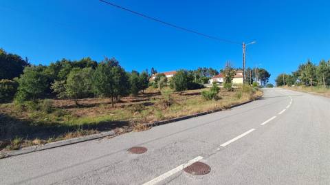 Terreno Para Construção  Venda em Vila Nova de Paiva, Alhais e Fráguas,Vila Nova de Paiva