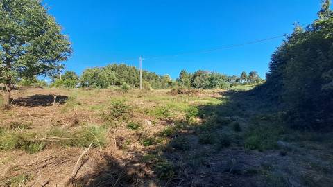 Terreno Para Construção  Venda em Vila Nova de Paiva, Alhais e Fráguas,Vila Nova de Paiva