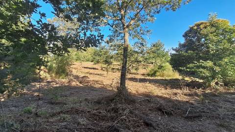 Terreno Para Construção  Venda em Vila Nova de Paiva, Alhais e Fráguas,Vila Nova de Paiva