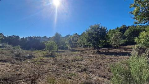 Terreno Para Construção  Venda em Vila Nova de Paiva, Alhais e Fráguas,Vila Nova de Paiva