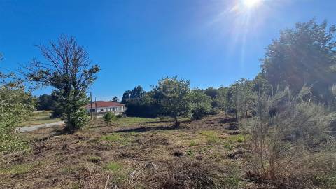 Terreno Para Construção  Venda em Vila Nova de Paiva, Alhais e Fráguas,Vila Nova de Paiva