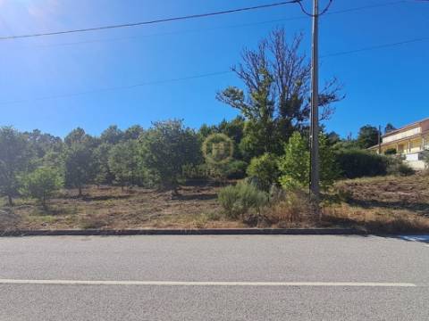 Terreno Para Construção  Venda em Vila Nova de Paiva, Alhais e Fráguas,Vila Nova de Paiva