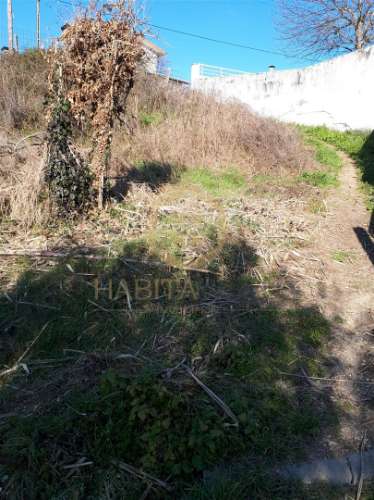 Lote de Terreno  Venda em São Cipriano e Vil de Souto,Viseu
