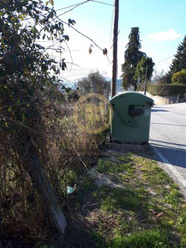 Lote de Terreno  Venda em São Cipriano e Vil de Souto,Viseu