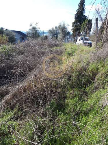 Lote de Terreno  Venda em São Cipriano e Vil de Souto,Viseu