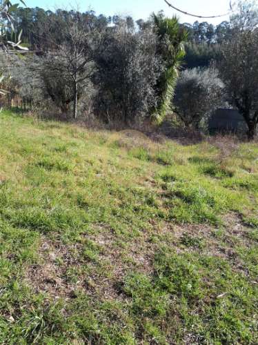 Lote de Terreno  Venda em São Cipriano e Vil de Souto,Viseu