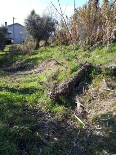 Lote de Terreno  Venda em São Cipriano e Vil de Souto,Viseu