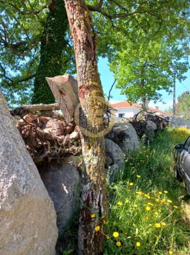 Terreno  Venda em Povolide,Viseu