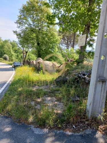 Terreno  Venda em Povolide,Viseu