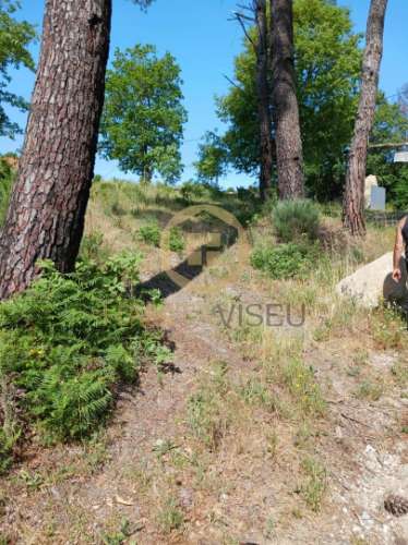 Terreno  Venda em Povolide,Viseu