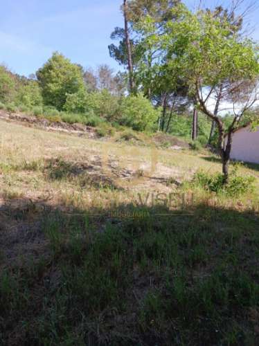 Terreno  Venda em Povolide,Viseu