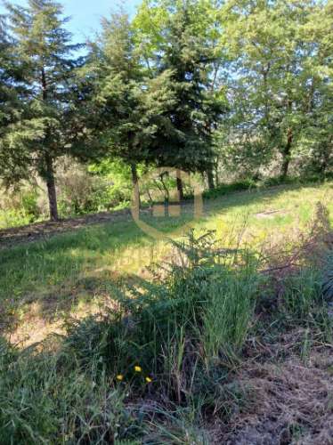 Terreno  Venda em Povolide,Viseu