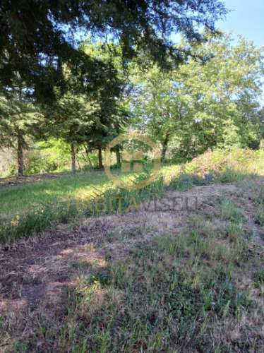 Terreno  Venda em Povolide,Viseu