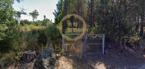 Terreno Para Construção  Venda em Santar e Moreira,Nelas