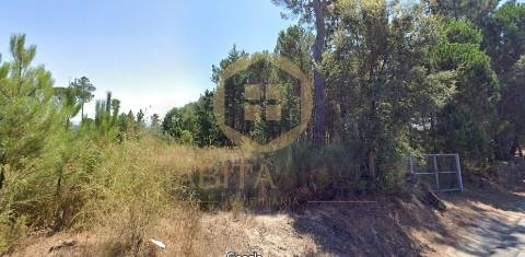 Terreno Para Construção  Venda em Santar e Moreira,Nelas