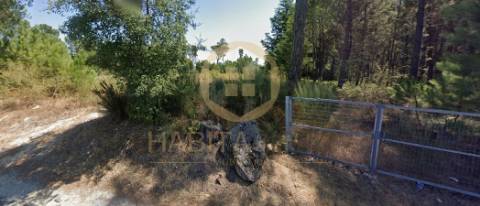 Terreno Para Construção  Venda em Santar e Moreira,Nelas