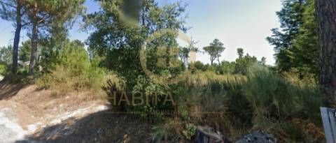Terreno Para Construção  Venda em Santar e Moreira,Nelas