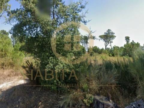 Terreno Para Construção  Venda em Santar e Moreira,Nelas