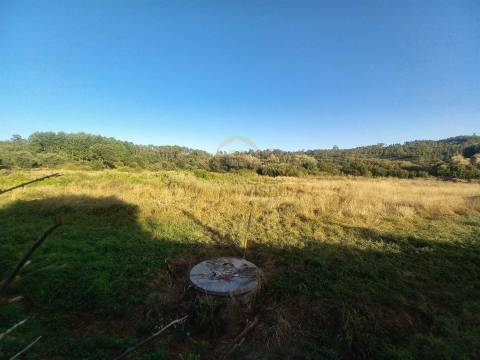 Terreno Para Construção  Venda em Cavernães,Viseu