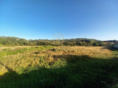 Terreno Para Construção  Venda em Cavernães,Viseu