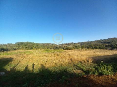 Terreno Para Construção  Venda em Cavernães,Viseu